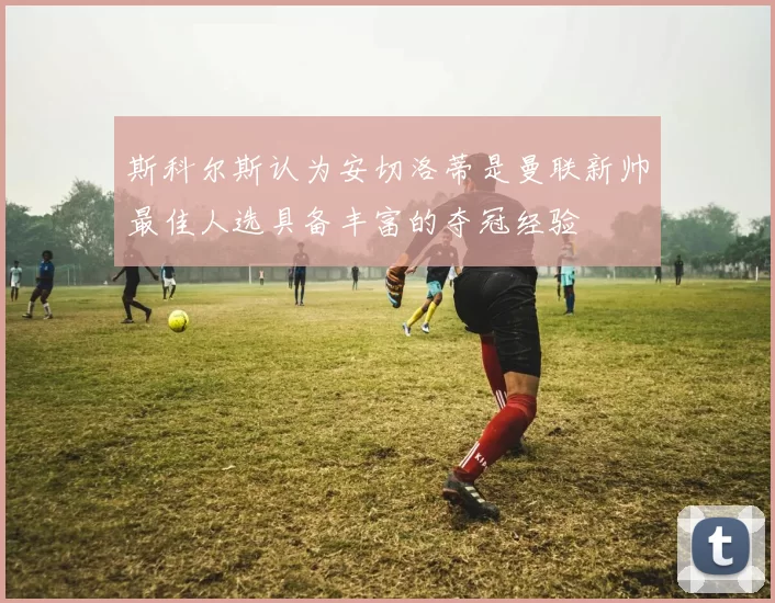 斯科尔斯认为安切洛蒂是曼联新帅最佳人选具备丰富的夺冠经验